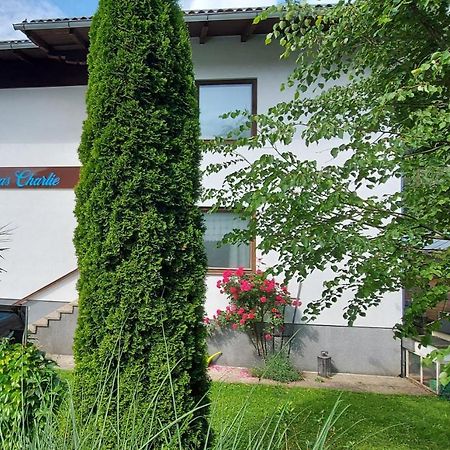Appartements Das Charlie Ebensee Buitenkant foto